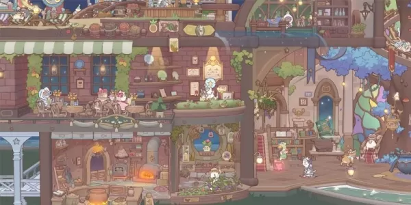 Zauberrezept: Cats & Soup in den USA eingetroffen