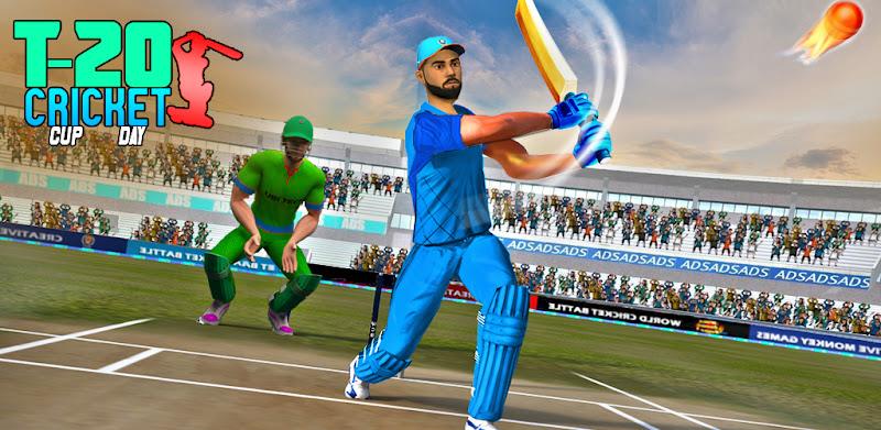 World Cricket Match Game应用截图第2张