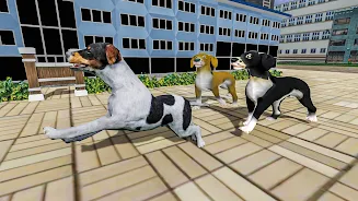 Ayudar a los perros Captura de pantalla 2