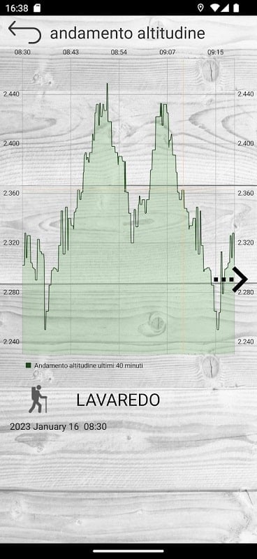 Professional altimeter Captura de pantalla 2