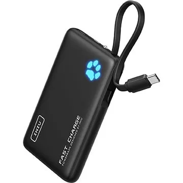 12 € Powerbank mit 45W – Schnellladefunktion für Nintendo Switch 2