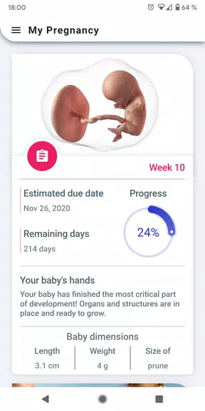 My Pregnancy - Week by Week Zrzut ekranu 0