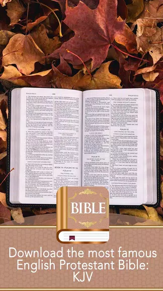 KJV Bible應用截圖第2張