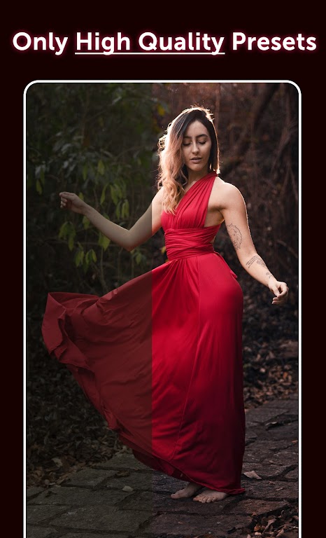 Preset: Lightroom Presets Mod應用截圖第2張
