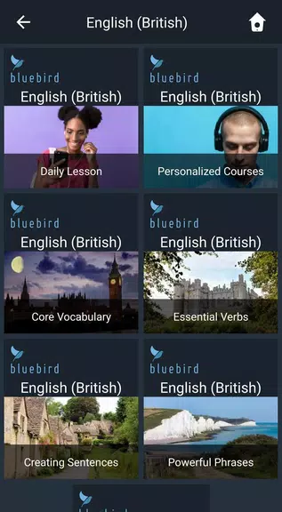 Learn British English. Speak B應用截圖第0張