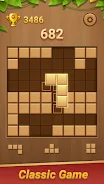 Block Puzzle - Wood Blast应用截图第1张