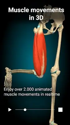 Anatomy Learning - 3D Anatomy 스크린샷 1