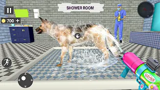 Animal Shelter: Pet Rescue 3D 스크린샷 0