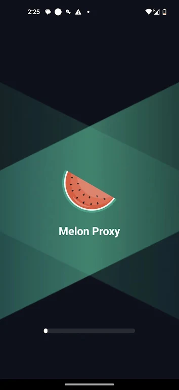 Melon Proxy Capture d'écran 0