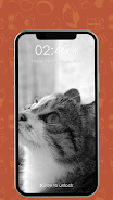 Kitty Cat Pin Lock Screen应用截图第3张