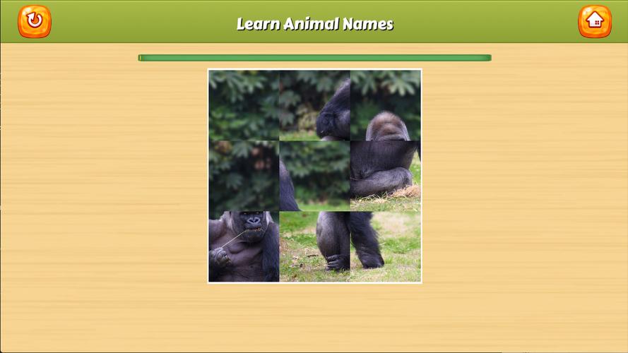 Learn Animal Names ภาพหน้าจอ 3