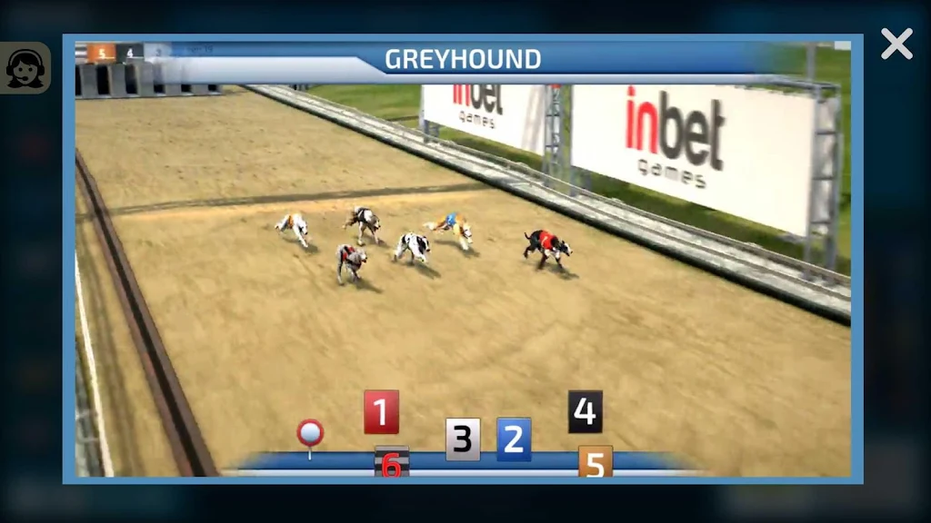 Dogs3D Races Betting Capture d'écran 2