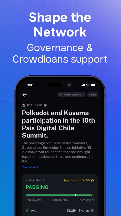 Nova Polkadot Wallet Captura de tela 2