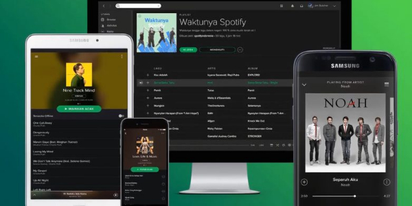 Spotify Vanced ภาพหน้าจอ 2