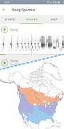 Merlin Bird ID von Cornell Lab Screenshot 2