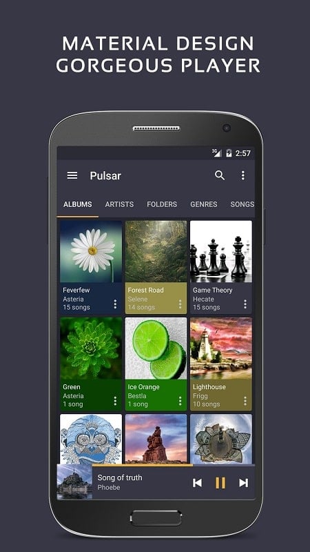 Pulsar Music Player Pro Ảnh chụp màn hình 0