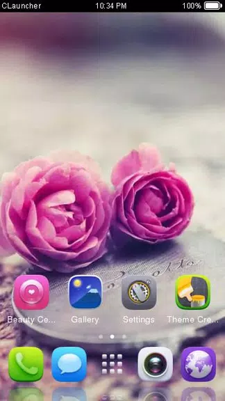 Pink Roses Theme C Launcher スクリーンショット 2