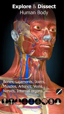 Anatomy Learning - 3D Anatomy ဖန်သားပြင်ဓာတ်ပုံ 0