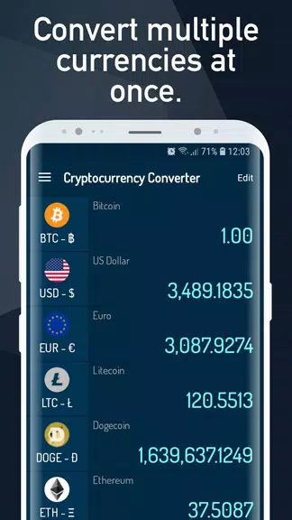 Cryptocurrency Rate Converter スクリーンショット 2