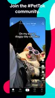 TikTok: Videos, Lives & Musik應用截圖第3張