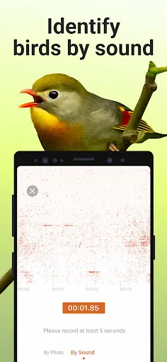 Picture Bird - Bird Identifier Screenshot 3