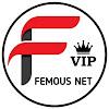 FEMOUS NET VIP VPN