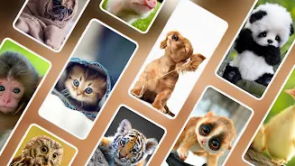 Cute Animal Wallpapers 4K ภาพหน้าจอ 0