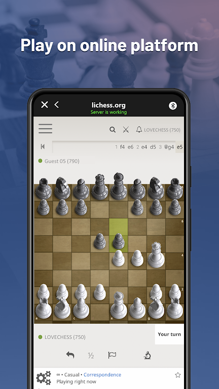 Chessnut Schermafbeelding 1