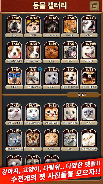 Schermata 애니멀 맞고 - 동물 팻 고스톱 3