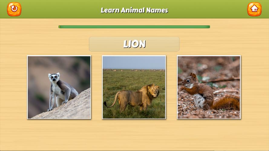 Learn Animal Names ภาพหน้าจอ 2