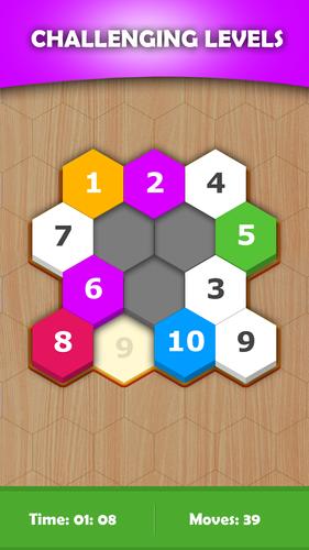 Hexa Sort Puzzle Captura de tela 1