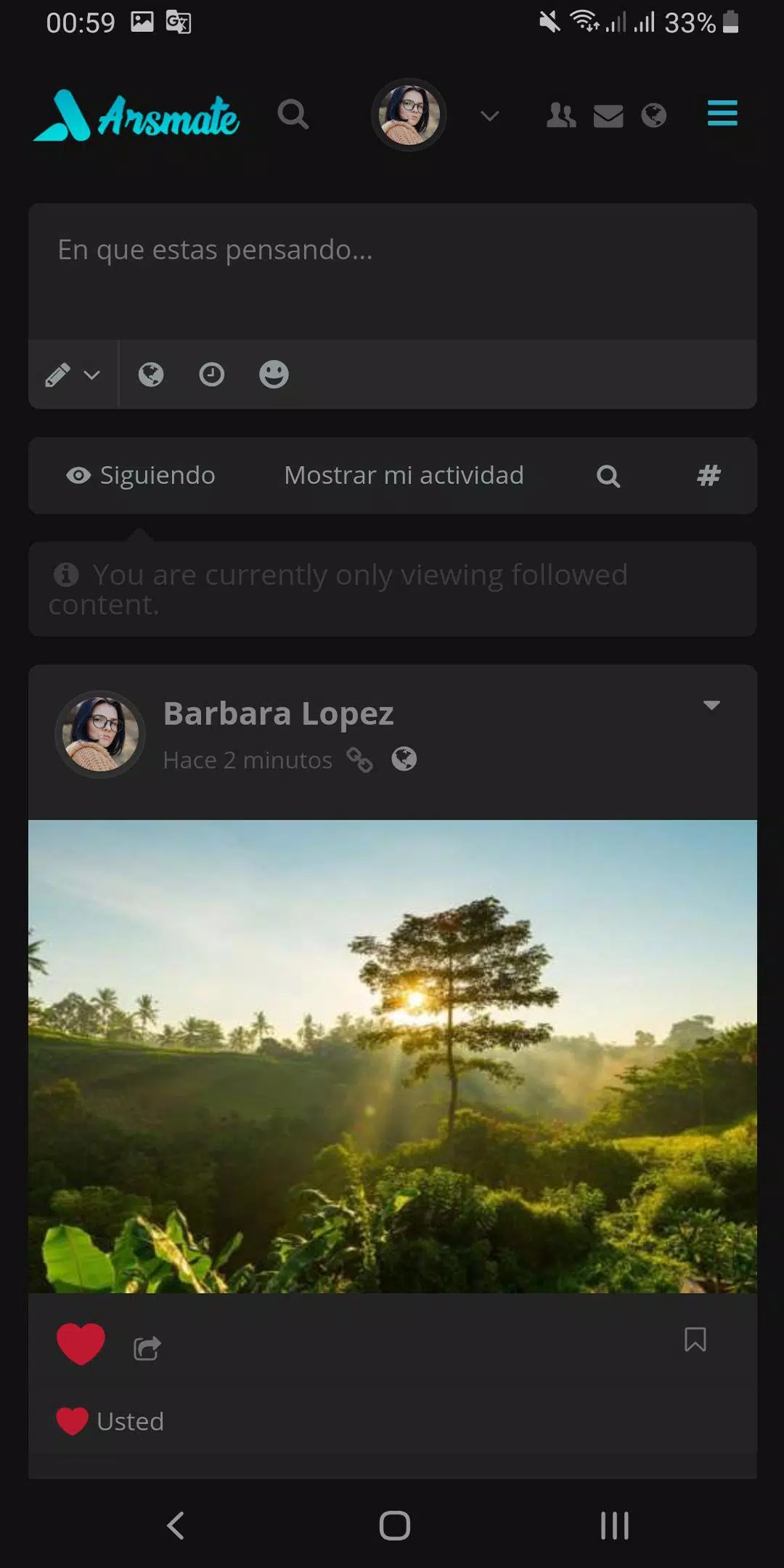 Arsmate Capture d'écran 1