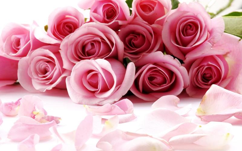 Roses Jigsaw Puzzles Captura de pantalla 2