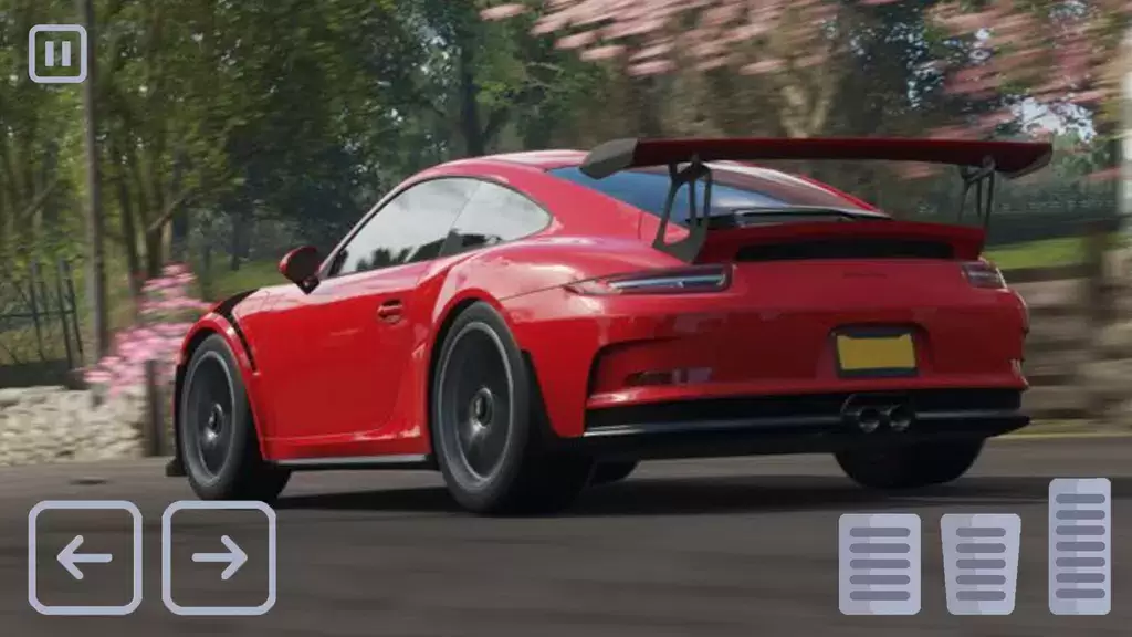 Schermata Racing Porsche Carrera 911 GT3 3