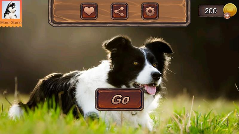 Border Collie Simulator Capture d'écran 2