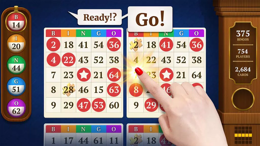 Power Bingo: Free Casino Games スクリーンショット 0