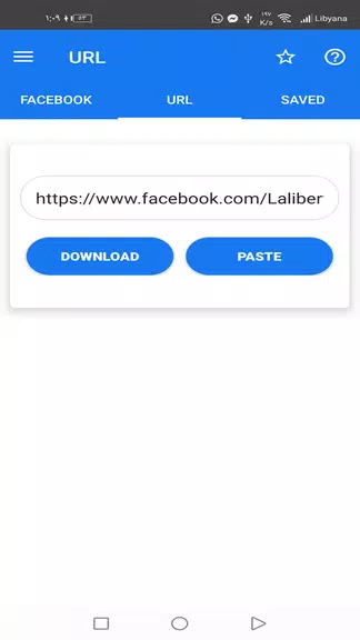 Facvid: Reels video downloader ภาพหน้าจอ 2