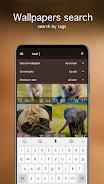 Cute Animal Wallpapers 4K ภาพหน้าจอ 2