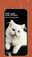 Kitty Cat Pin Lock Screen Tangkapan skrin 1