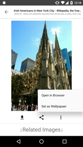 ImageSearchMan – Image Search Capture d'écran 2