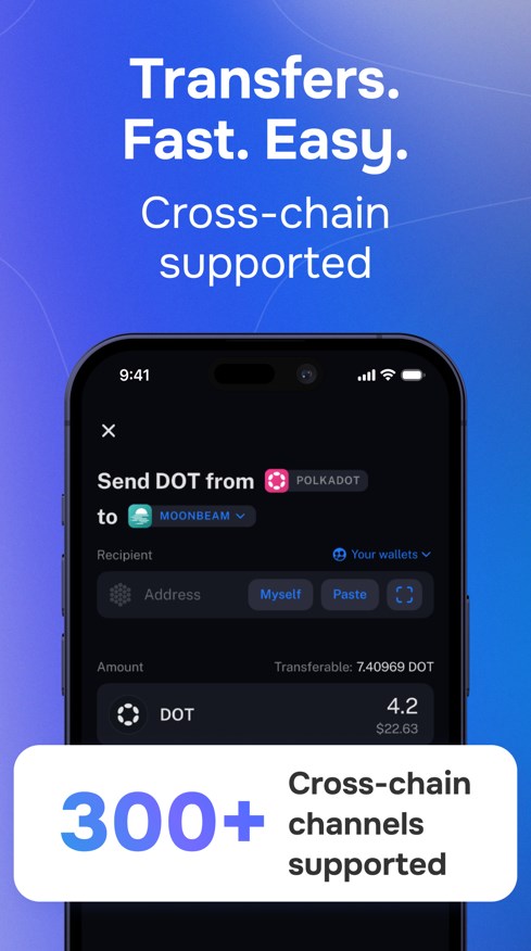 Nova Polkadot Wallet Captura de tela 3