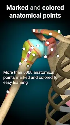 Anatomy Learning - 3D Anatomy ဖန်သားပြင်ဓာတ်ပုံ 2