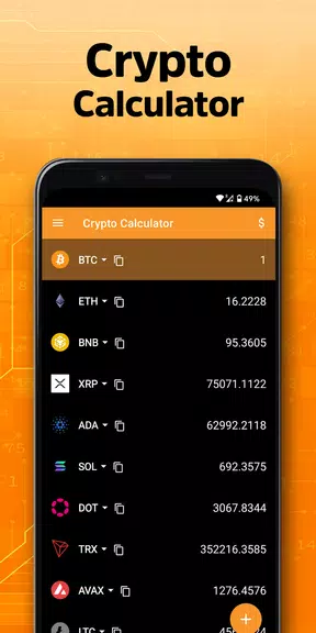 Crypto Calculator Schermafbeelding 2