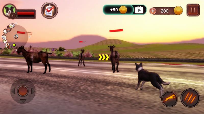 Border Collie Simulator স্ক্রিনশট 1