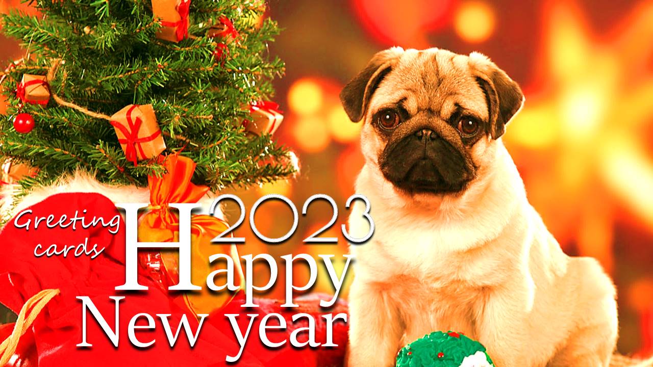 Happy NewYear Wishes Capture d'écran 0