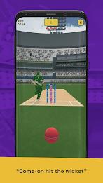 Run Out Champ: Hit Wicket Game Schermafbeelding 1