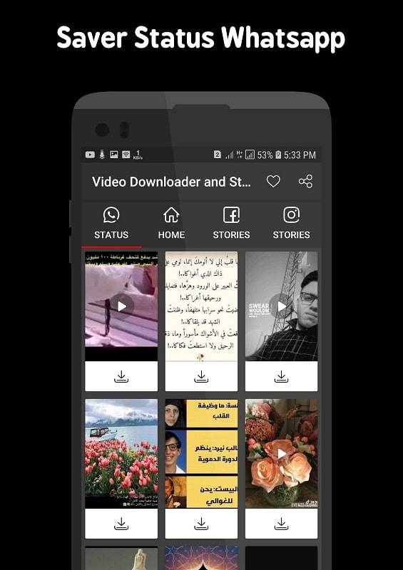 Video Downloader and Stories স্ক্রিনশট 2