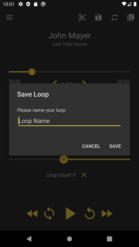 Loop Player Capture d'écran 2