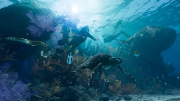 레오니다 키즈 해안선