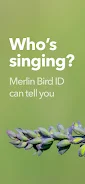 Merlin Bird ID de Cornell Lab Captura de pantalla 3